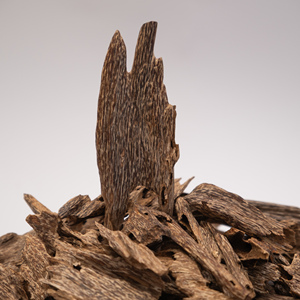 Materia Prima de Agarwood con Aroma Intenso - Product Image 5