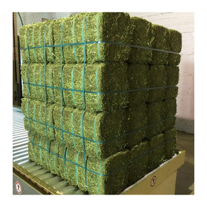 Foin d'alfalfa à bas prix offert aux entreprises d'alimentation animale et aux acheteurs agricoles - Product Image 4