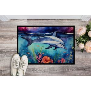 Dolphin Paillasson antidérapant Lavable Low Pile Intérieur/Extérieur Tapis de porte avant 24H X 36W pour entrée - Product Image 2
