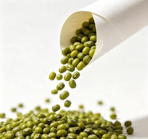 Fabrication certifiée qualité usine Haricots verts surgelés IQF - Product Image 3