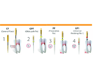 Limes rotatives et manuelles universelles GenENDO UF en nickel-titane traitées thermiquement pour les traitements endodontiques - Product Image 2