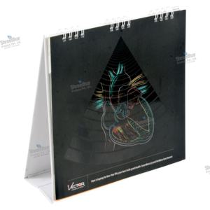 Planificador de escritorio mensual personalizado 2024, diseño en espiral, papel compensado promocional Pharma, calendario de mesa impreso de cartón recubierto de Kraft - Product Image 4