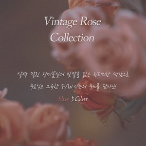 Rouge à lèvres coréen K-Beauty longue tenue 3,9 g, formule hydratante Pure Rose - Product Image 5