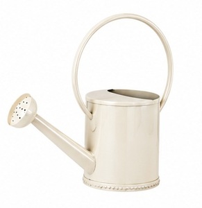 Black Metal Watering Can with Brass Handle and Spout Durable Garden Tool <b>Painting</b> Finish - Product Image 2