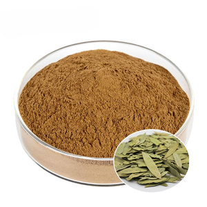 Poudre de feuilles de séné 100 % naturelle, pure, de qualité alimentaire, fournisseur en gros, favorise le processus de détoxification naturelle et la digestion - Product Image 5