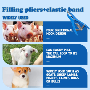 Alicate Elástico para Castración de Animales con Agarre Ergonómico y Banda Elástica de Alta Resistencia para Cabras, Ovejas, Terneros, Corderos y Lechones - Product Image 5