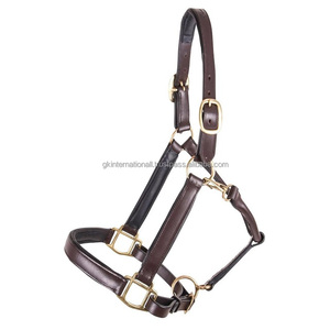 Top Quality Brown Padded Genuine Leather Horse <b>Halter</b> Double Stitching and Adjustable Heavy Duty Brass Hardware Custom Sizes - Product Image 2