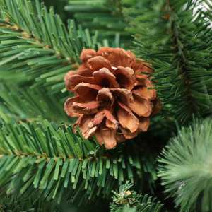 Árbol de Navidad Artificial Pre-Decorado de 210 cm, Verde Buckingham Firme con Hojas de Roble, Gran Venta en Europa - Product Image 4