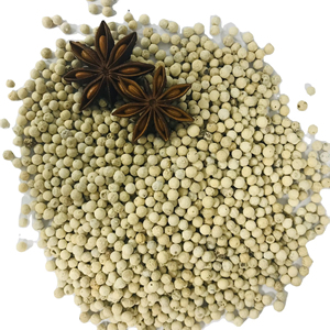 Pimienta Blanca de Vietnam Doble Lavado 630G/L Especias Picantes Precio al por Mayor +84 35 254 2206 - Product Image 1