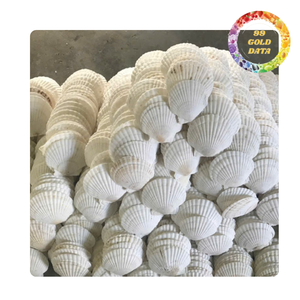 Coquilles décoratives de haute qualité en forme de coquille Saint-Jacques pour la décoration de vins, mariages et fêtes, fournitures pour bijoux et artisanat, vente en gros - Passe au micro-ondes, sans BPA, double paroi - Product Image 6