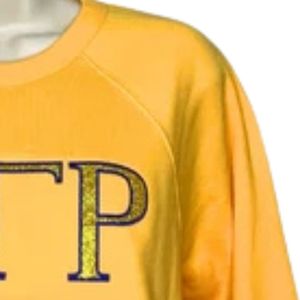 เสื้อสเวตเชิ้ตปักลาย Sigma Gamma Rho ประดับกลิตเตอร์ แบบคัสตอม ตัวอักษรกรีก ผ้าฟลีซ คอกลม พรีเมียม สไตล์เสื้อผ้าชมรม - Product Image 5