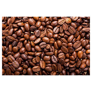 Granos de Café Arábica Naturales para Pedidos al por Mayor y Empresas Globales de Comercio de Café - Product Image 4