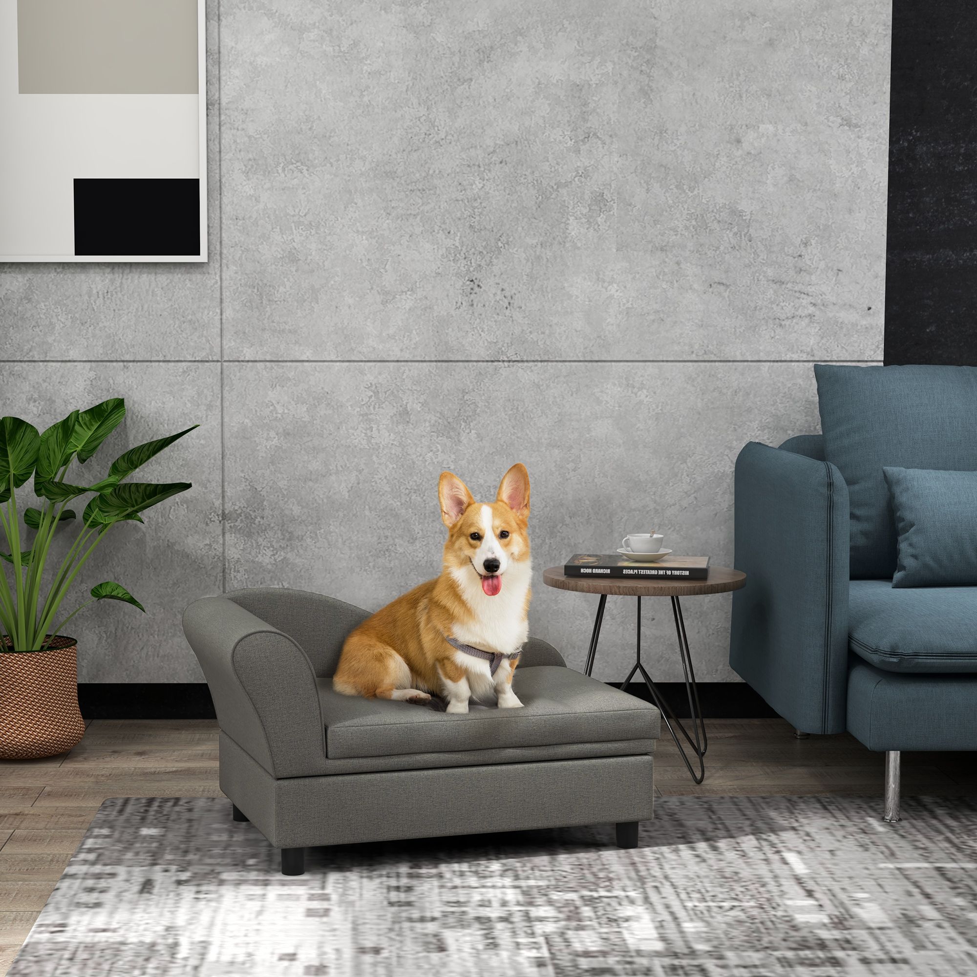 Gray Color