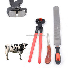 5-Piece Veterinary Instrument Set Groom Hoof Care Trim <b>Tool</b> <b>Kit</b> for Horse Hoof Nippers Trimming Shoe Rasp Hoof Knife Gloves - Product Image 6