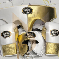 Ensemble de sparring de boxe personnalisé « No Boxing No Life » – Kit de sparring de boxe professionnel en cuir de haute qualité avec gants, protège-tête et protège-guêtres
