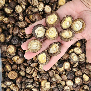Champignons Shiitake séchés au soleil naturellement du Vietnam, fournisseur en gros pour le marché de l'exportation de transformation alimentaire - Product Image 1