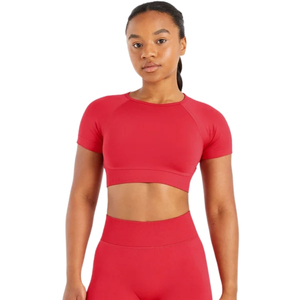 Top Deportivo Sin Costuras para Mujer, Camiseta Deportiva Sin Mangas, Elástica y Suave, Transpirable, para Gimnasio y Fitness, Fabricante Mayorista - Product Image 3