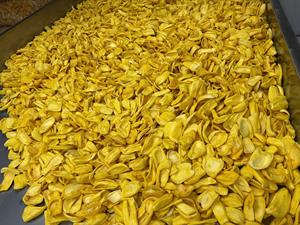 Mejor Precio, Jaca Orgánica 100% Natural, Frita al Vacío, Crujiente, Sin Aditivos, Dulce, Empacada al Vacío, Vietnamita, Seca - Product Image 3