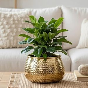 Moderno Florero de Metal Dorado con Planta Artificial de Monstera y Orquídea para Decoración de Interiores de Escritorio - Product Image 4