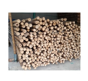 Poteaux en bambou en gros, matériau naturel pour clôtures et utilisation extérieure - Product Image 3