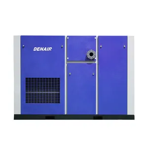 Compresor de aire de tornillo rotativo inyectado con aceite Denair 4 en 1 Precio para chorro de arena