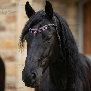 Diadema de Cuero Negro de Lujo para Caballo con Cristales Morados en Forma de Lágrima y Adornos de Diamantes de Imitación - Product Image 3