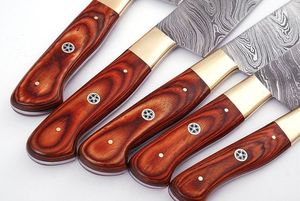 Juego de 5 Cuchillos de Acero de Damasco Hechos a Mano para Camping y Cocina, Hoja Recta, Mangos de Madera con Refuerzo de Latón, Personalizables OEM/ODM/OBM - Product Image 3