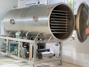 เครื่องอบแห้งแบบแช่เยือกแข็งอัตโนมัติเชิงพาณิชย์ ทำจากสแตนเลส ควบคุมด้วย PLC พร้อมมอเตอร์ รุ่น WHFD-100 สำหรับการแปรรูปอาหาร ใช้งานได้ยาวนาน - Product Image 6