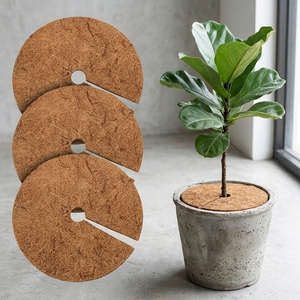 Fibra de Coco para Plantas, Soporte de Coco para Plantas de Interior y Exterior, 4 Pies, Paquete de Soportes de Jardín Marrón con Base de Madera - Product Image 2