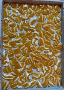 Cabujón de Calcita Amarilla Suelta, Gema de Calcita Amarilla Pulida a Mano, Cabujones de Cuarzo Curativo al por Mayor - Product Image 3