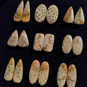 Offre Spéciale : Paire de Coraux Fossiles en Gros, Paire Assortie de Coraux Fossiles, Paire de Cabochons de Coraux Fossiles en Pierre Précieuse pour la Fabrication de Bijoux - Product Image 2
