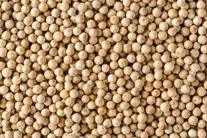 Pimienta Blanca Premium de Vietnam - Product Image 3