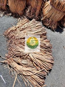 Corde en fibre brute de jacinthe d'eau, 60 cm, en balles, matériau naturel pour la fabrication artisanale, sans tache noire, fibre de haute qualité - Product Image 5