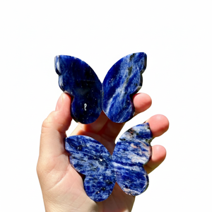 Ailes de papillon en sodalite naturelle sculptées, pierre énergétique, spécimen minéral de guérison pour la décoration de la maison et du bureau (vente en gros) - Product Image 3