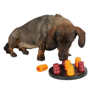 Juego Interactivo de Mini Solitario para Perros, 20 cm, Nivel 1, Juguete para Mascotas - Product Image 3