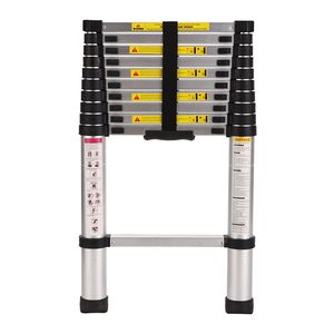 Scala Telescopica Multiuso in Alluminio da 3,2 m, Design Portatile ed Estensibile per Giardino - Product Image 1