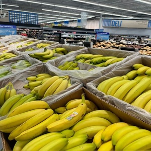 Bananes Cavendish Biologiques Fraîches, Naturellement Sucrées, Nutritives et Cueillies à la Main pour les Fournisseurs Mondiaux - Product Image 6
