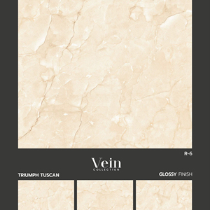 Carreaux de porcelaine à l'agencement raffiné 60x60 cm, conçus pour maintenir l'équilibre visuel, la stabilité structurelle et un revêtement de sol intérieur fiable. - Product Image 1