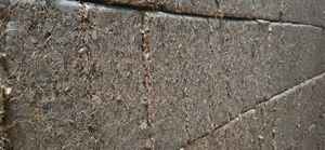 Turba de Coco Natural Sin Lavar, Ladrillo de 650g, Sustrato de Coco de Alta Calidad para Jardinería, Paisajismo y Acondicionamiento del Suelo - Product Image 5