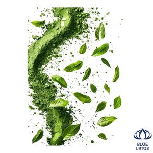 DISPONIBLE AHORA, Té Verde Matcha Ecológico Premium en Polvo, Estimulante de Energía Sostenible, Venta Caliente, Exportación Directa de Fábrica - Product Image 1