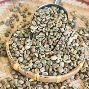 Café Verde Robusta de Vietnam, Tamaño 16 AA+, Suministro al por Mayor de Fábrica, Exportación a Granel, Suministro de Fábrica, Bolsas de PP de 60 kg, Venta al por Mayor - Product Image 4
