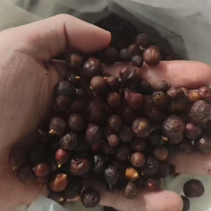 Wholesale Supply For Private Label Brands Premium Quality Bulk Natural Dried Juniper Berries 2026 New Season Organic - Product Image 6