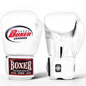 Gants de boxe en microfibre 10 oz avec logo personnalisé, gants d'entraînement professionnels pour hommes et femmes, fermeture auto-agrippante, vente en gros - Product Image 5