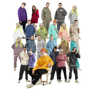 Sweat-shirt à capuche unisexe de marque tendance, automne-hiver, 330g, surdimensionné, couleur unie, polaire, Pakistan - Product Image 1