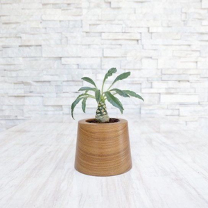 Jardinière en bois de chêne massif faite à la main, pot de fleurs décoratif moderne pour intérieur, design vintage, support pour plantes à prix raisonnable - Product Image 4