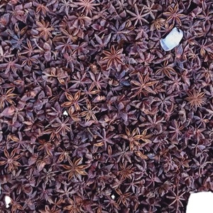 Anís Estrellado de Vietnam en Oferta, Anís Entero Seco Natural, Suministro de Fábrica, Exportación, Especias al por Mayor - Product Image 1