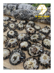 Concha de Limpet Redonda Pulida Decorativa y Ecológica (Tema Animal) para Empaque de Regalos y Decoración del Hogar, Proveedor de Vietnam, 99 Gold Data - Product Image 3