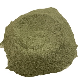 POLVO DE ALGA VERDE SECA PURA / ALGA ULVA LACTUCA DE VIETNAM // Evan - Product Image 2