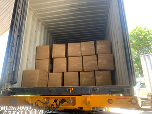 Pétales de jasmin séchés pour la fabrication de bougies DIY, décoration de bougies parfumées, matériaux botaniques naturels, vente en gros, approvisionnement premium - Product Image 3