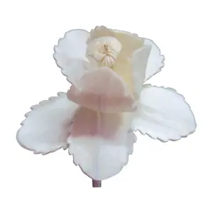 Decoratieve Draad Versterkte Natuurlijke Handgemaakte Witte Geur Diffuser Sola Hout Bloem Sola Bloem Voor Decoratie